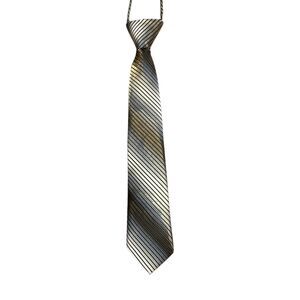 Kids Pre Tied Tie Metallic Silver Golden Shimmer Shiny Adjustable Alberto Cabale